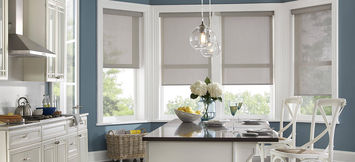 Roller Shades - Enlightened Style